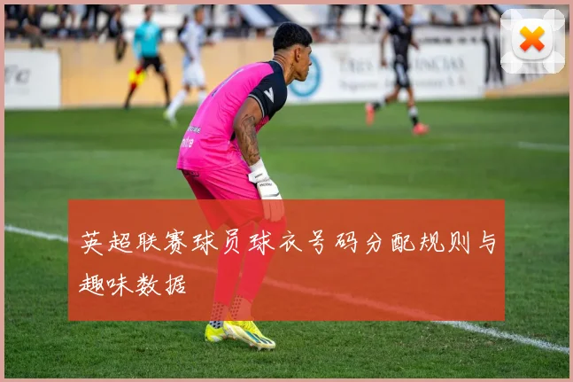 英超联赛球员球衣号码分配规则与趣味数据
