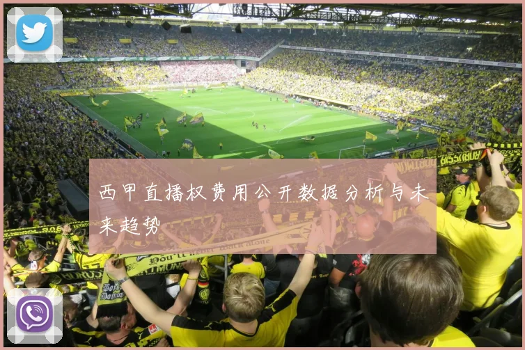 西甲直播权费用公开数据分析与未来趋势