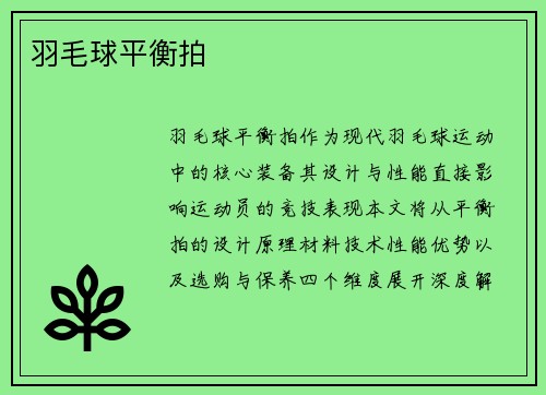 羽毛球平衡拍