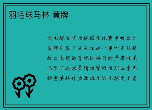 羽毛球马林 黄牌